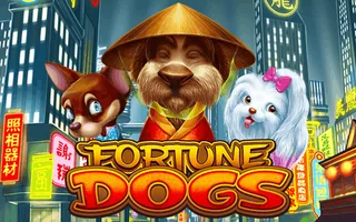Fortune Dogs