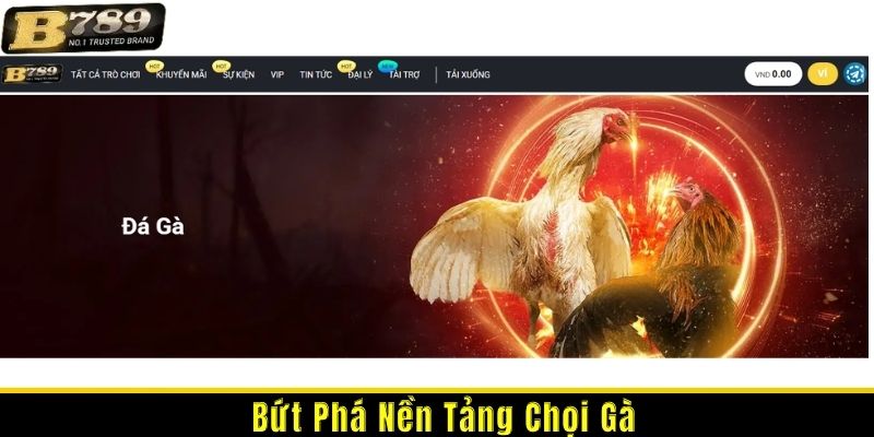nền tảng chọi gà