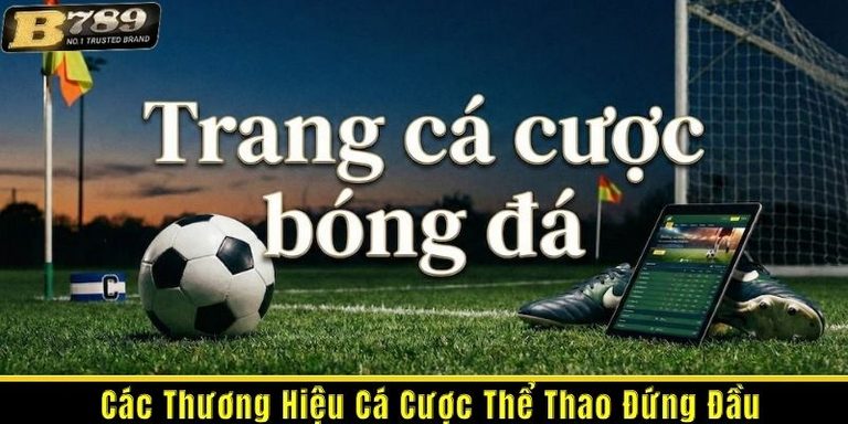 Top 5 Nhà Cái Cá Cược Bóng Đá Uy Tín 2026: Vị Thế Của Bong789 Ở Đâu?