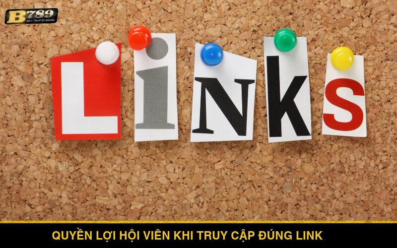 Quyền lợi hội viên khi truy cập đúng link vào Bong789