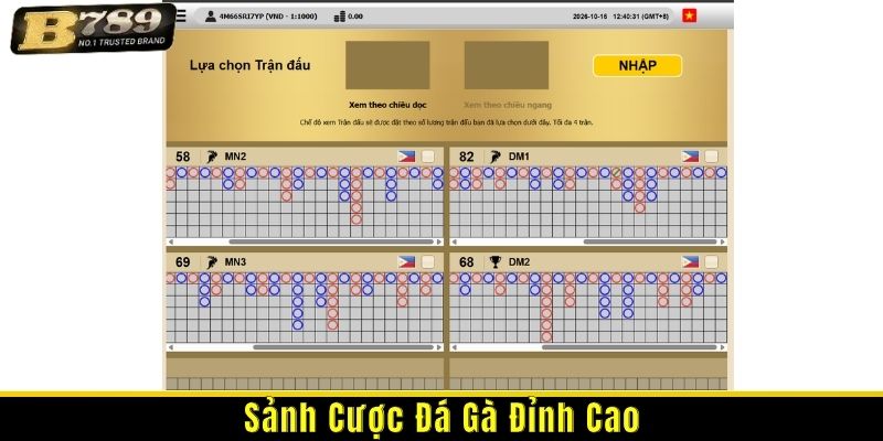 sảnh cược đá gà online